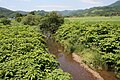 2012年7月20日 (金) 01:52時点における版のサムネイル