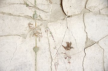 Oplontis, fresco