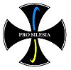 Order of Silesia Merit.JPG