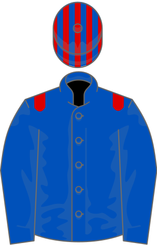 <span class="mw-page-title-main">Sayyedati</span> British-bred Thoroughbred racehorse