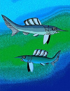 <i>Oxyosteus</i> genus of fishes
