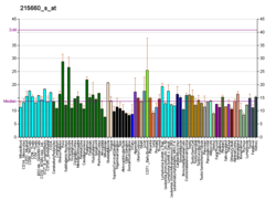 PBB GE MAST2 215660 s at fs.png