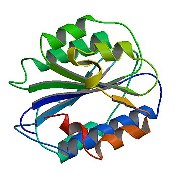 Factor de von Willebrand