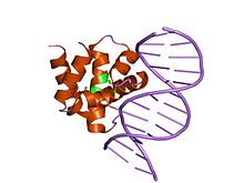 PDB 1j1v EBI.jpg 