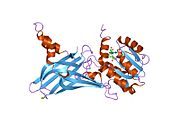 1orh: Structure of the Predominant Protein Arginine Methyltransferase PRMT1