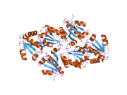 PDB 1w4v EBI.png