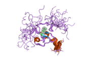 2fuu: NMR solution structure of the PHD domain from the human BPTF in complex with H3(1-15)K4me3 peptide