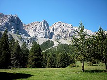 Prat del Cadí (nord-ouest du massif) : forêt de pins à crochets (Pinus uncinata) et de sapins communs (Abies alba) du parc naturel. En arrière-plan, de gauche à droite : parois d'escalade du Roca Verda, du Roca de l'Ordiguer et du Puig del Quer.