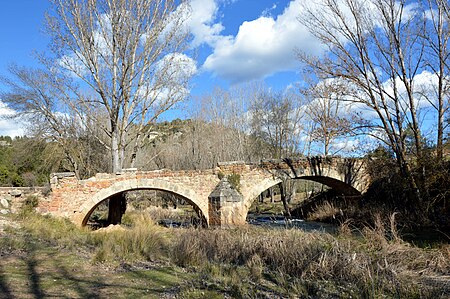 Pajaroncillo-puenteCristinas (2017)0948.jpg