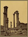 Palmyre. Colonne monolithe sur la grande colonnade. Syrie - Bonfils. LCCN2004670474.jpg