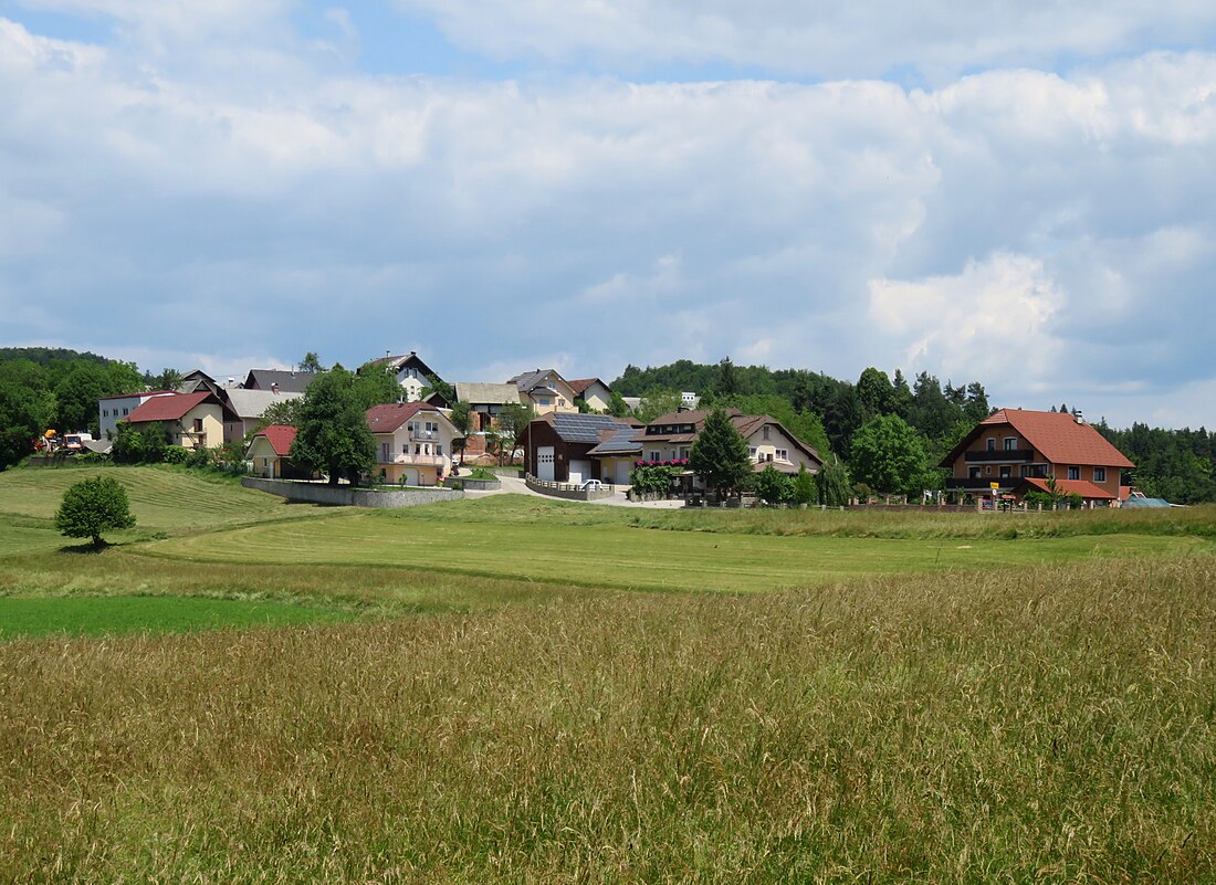 Pance, Ljubljana