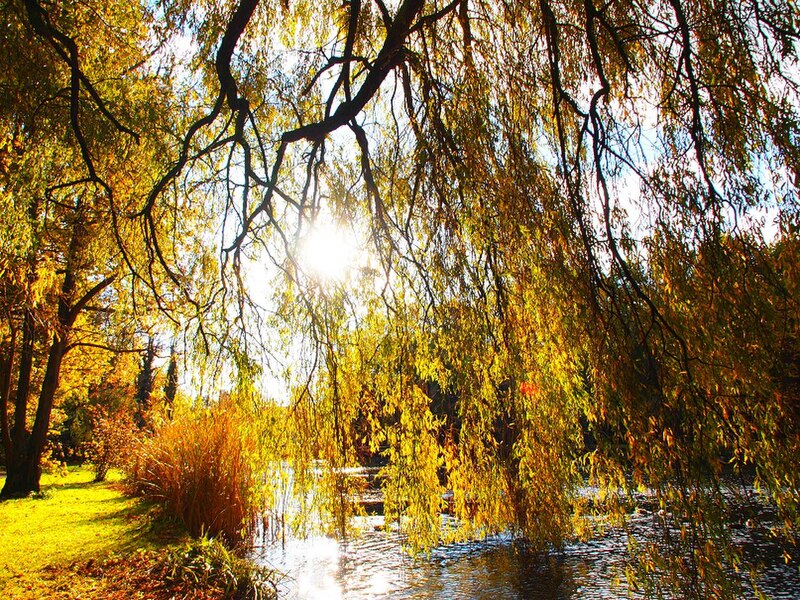 File:Park views in autumn (Netherlands 2011) (6311928850).jpg