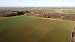 Pastholz Langenleuba DJI 0295.jpg