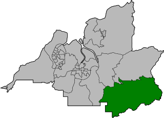 Pat Heung South (constituency)