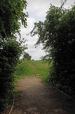Path Out of Birchanger Wood - geograph.org.uk - 3548109