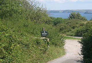 <span class="mw-page-title-main">Penlee Battery</span> Nature reserve in Cornwall, England