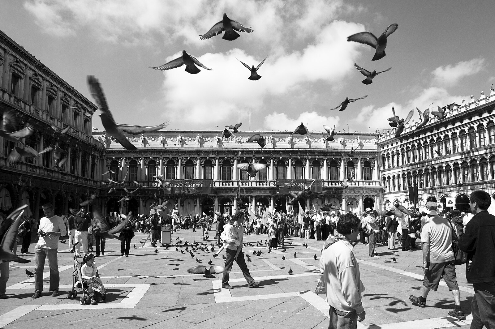 голуби на площади сан марко в венеции