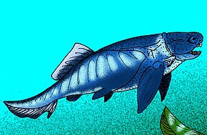 Pinguosteus