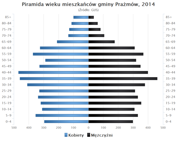 Piramida wieku Gmina Prazmow.png