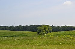 Countryside east of Catawba