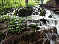 Plitvice Lakes National Park May 2018 15.jpg