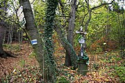 Čeština: Křížek na modré turistické trase č. 1226 u rozcestníku Pod Cvrčkovem. Prachatice, kraj Jihočeský. English: Wayside cross at the blue hiking trail no. 1226, Pod Cvrčkovem, Prachatice, South Bohemian Region, Czechia.