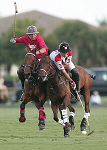 Polo (sport) - Wikipedia