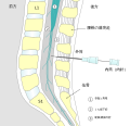 Thumbnail for version as of 11:16, 1 August 2023