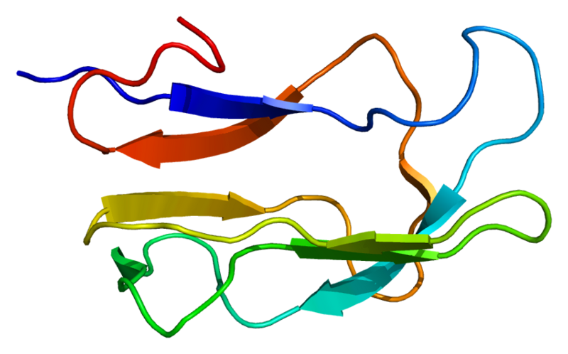 File:Protein DBT PDB 1k8m.png