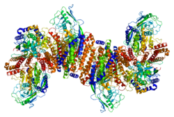 Protein TFRC PDB 1cx8.png