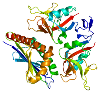 ULBP3 protein-coding gene in the species Homo sapiens