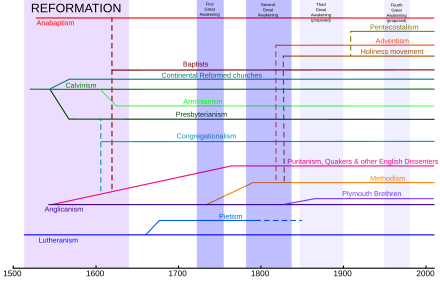 Major Protestant orientations and their relationships to each other. However, the actual history of influences is more complicated due to the influence of Nicodemites. For example, in areas where open Calvinism was outlawed, Crypto-Calvinists within Lutheran churches continued to exert an influence. Additionally, later cross denominational movements such as Pietism, Rationalism, and the Charismatic Movement complicate the history of Protestant traditions. Additionally, Crypto-Protestantism is not shown at all on this chart. Protestant branches.svg
