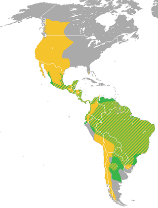 Amarelo: Puma concolor; Verde: Puma yagouaroundi; Achurado: ocorrência das duas espécies.