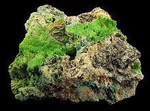 Green pyromorphite microcrystals cover the vuggy, quartz-rich matrix. Seams of tiny cerussite crystals and crusts of contrasting, powder-blue caledonite round out this very rich lead ore specimen from an old Leadhills mine. Size: 7.5 x 5.4 x 3.2 cm. Pyromorphite-Cerussite-Caledonite-278353.jpg