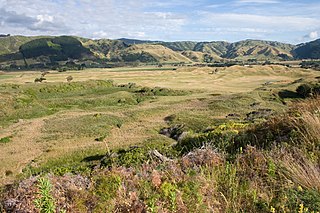 Queen Elizabeth Park, New Zealand