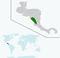 Quiscalus nicaraguensis map.svg