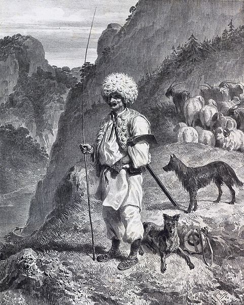 Vlach shepherd in Banat