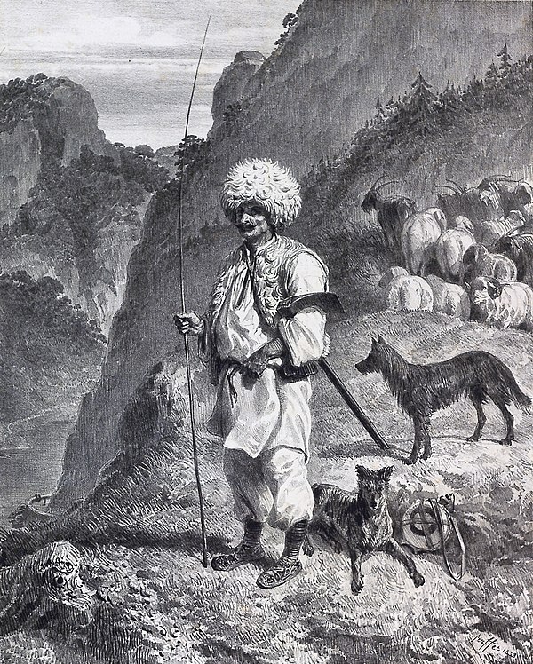 Vlach shepherd in Banat