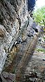 English: Climber on Loompa (5.10c) at Chocolate Factory wall in Red River Gorge in Kentucky