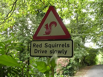 Road warning signals for red squirrels; the Lake District is one of the few places in England where red squirrels have a sizeable population. Red squirrels warning signs, Lake District.jpg