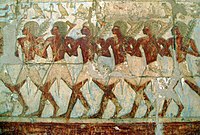 Egyptian soldiers from Hatshepsut's Year 9 expedition to the Land of Punt, as depicted on her temple at Deir el-Bahri