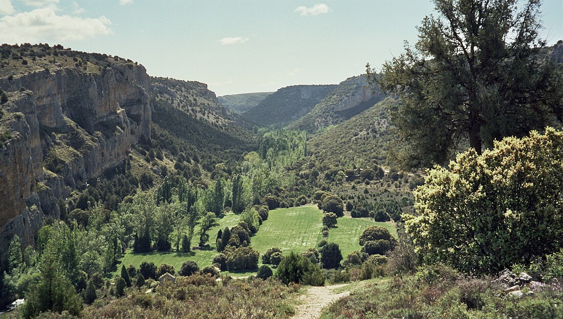 Parque natural de las Hoces del Río Riaza