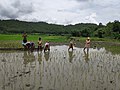 छोटो चित्र १२:४७, २२ जुलाई २०२० संस्करणको रुपमा