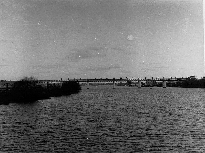 File:River Murray showing Murray Bridge(GN10486).jpg