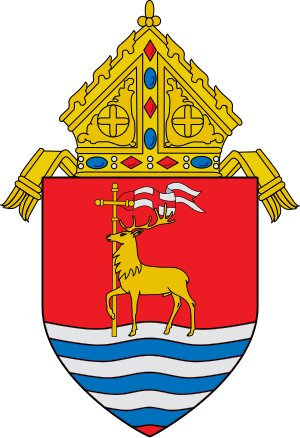 Roman Catholic Archdiocese of Hartford.svg