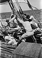Sailors working on a deck covered in mangrove poles.jpg
