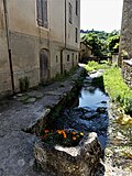 Miniatuur voor Bestand:Sainte-Eulalie-d'Olt ruisseau Coutelle (1).jpg