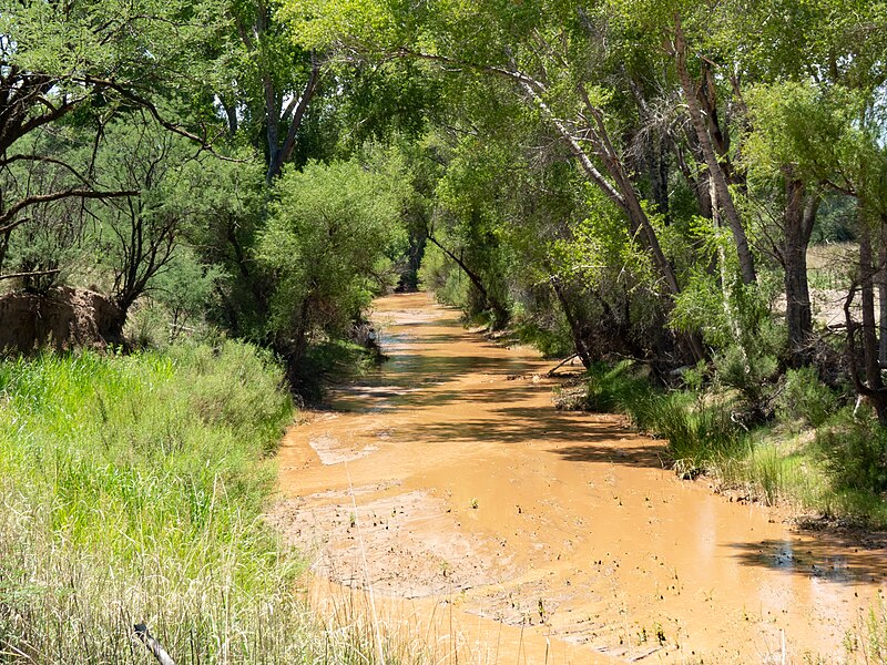 File:San Pedro RNCA - Fairbanks AZ 2018-07-21 12-04-57 (41979141630).jpg