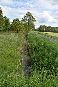 Schleswig-Holstein, Moordiek, Auufer, FFH-Gebiet Moore der Breitenburger Niederung NIK 4410.JPG