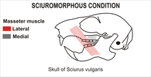 Fig.2